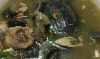 炖汤的做法大全